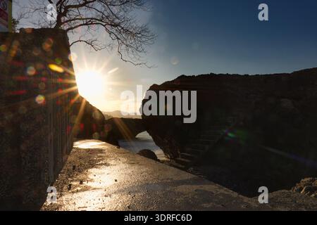 Sunburst Over Coastal Path and Stone Stairs in Golden Hour Dramatic sun flare shining through a silhouetted tree and stone structures, illuminating Stock Photo