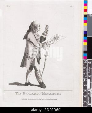 This 1772 etching, titled 'The Botanic Macaroni', depicts a man walking in profile to the right, holding a botanic drawing in his right hand and a magnifying glass or lorgnette in his left. His gouty right leg is swathed, and a knotted walking stick hangs from his right wrist. The print illustrates 18th-century scientific study, fashion, and observational detail. The composition combines anatomical condition, scholarly pursuit, and late 18th-century etching techniques. Stock Photo