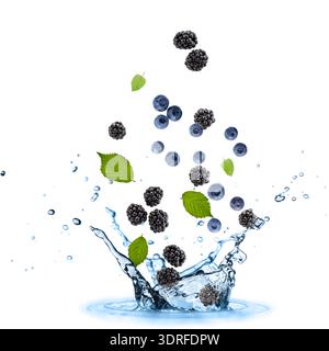 Fresh blueberries and blackberries with mint leaves falling in splashing water isolated on white background Stock Photo