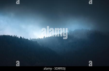 View of a shrouded mountain ridge with silhouettes of coniferous trees fading into the ethereal mist under a brooding sky, Trentino-South Tyrol, Italy Stock Photo