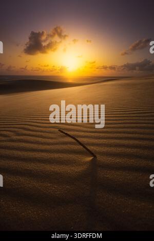 View of golden sunlight paints the rippled sand dunes with a warm glow, as a lone twig rests in the foreground, creating a striking contrast, France, Stock Photo