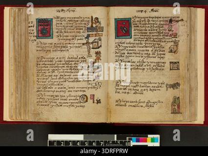 The 1576 Codex Aubin is composed of eighty-one leaves of European paper ...