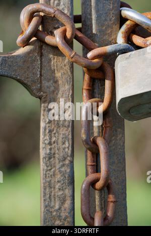 Close up of rusty chain and padlock on metal gate Stock Photo