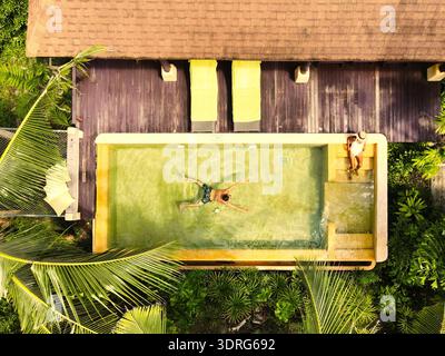 Relaxing in a tropical pool surrounded by lush greenery and sunshine on a serene day Stock Photo
