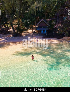 Stunning tropical beach with crystal clear water and vibrant green palm trees during daylight Stock Photo