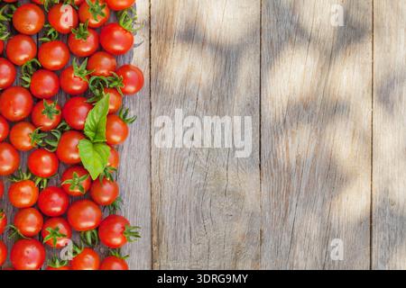 Ripe cherry tomatoes and basil Stock Photo