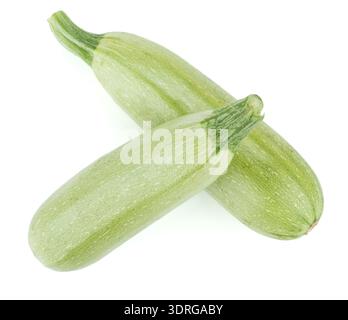 Fresh marrow vegetable Stock Photo