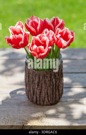 Colorful tulips on garden table Stock Photo