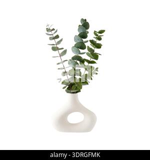 Natural blue green eucalyptus plant twigs in vintage white donut vase isolated on white. Eucalyptus branch with leaves as home interior flowers Stock Photo