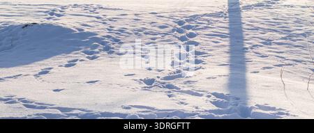 Various tracks left in deep, white snow, in a frozen landscape or field. Stock Photo