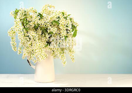 Still life with beautiful spring branches of blooming bird cherry in vase on elegant background. Abstract floral composition and Stock Photo