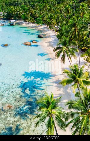 Vibrant tropical beach with palm trees and clear turquoise waters at midday in paradise Stock Photo