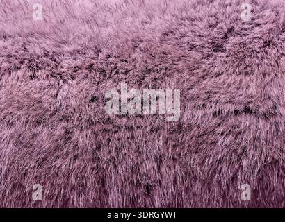 close-up of pink fur top view Stock Photo