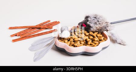 Concept dietary antiallergic pet food and toys on the table Stock Photo