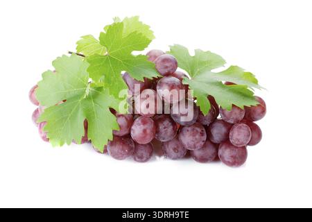 Red grapes with leaves Stock Photo