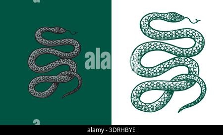 Heraldic poisonous snake with roots for coat of arms design and shield. Hand drawn engraving in old traditional medieval style, modern made element Stock Vector
