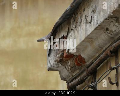 Peeling plaster and exposed brick on old building facade Stock Photo