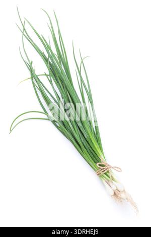 Fresh garden herbs. Spring onion Stock Photo