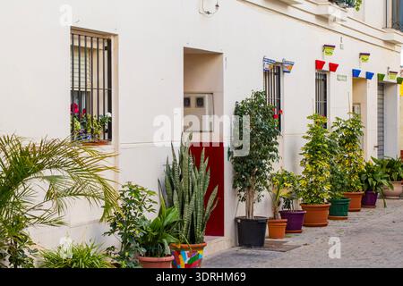 Traditional white house facade in Malaga with colorful flower pots and lush green plants in decorative ceramic containers along a narrow Mediterranean Stock Photo