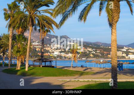 Malaga Spain beautiful evening sunset view over La Malagueta beach with green palm trees and the city skyline against a mountain backdrop on the medit Stock Photo