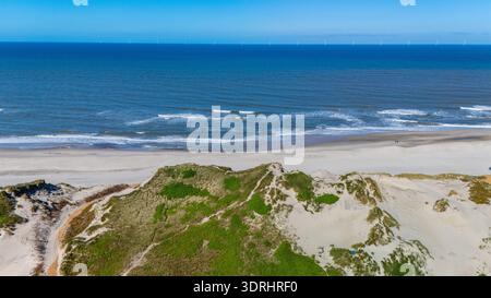 Expansive sandy beach in Denmark showcases gently rolling waves and lush green dunes under a clear blue sky. Perfect for relaxat Stock Photo