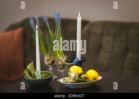 Spring table arrangement with blooming muscari bulbs in glassware, white candles, bay leaves, and fresh fruits on a dark table. Stock Photo