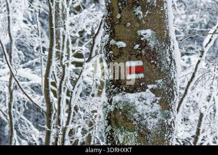 Winter hiking trail marker painted on tree trunk, red and white tourist sign covered with snow in frosty forest landscape. Stock Photo