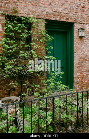 Green door surrounded by plants near brick wall at residential building in a city on a sunny day Stock Photo