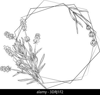 vector illustration of lavender branches arranged as decorative corner elements. Hand drawn linear botanical design in vintage engraving style. Ideal Stock Vector