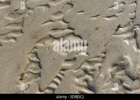 Close-up of the wet sandy beach in the mudflats off the North Sea island of Föhr with wave patterns at low tide or low tide Stock Photo