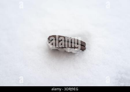 Chocolate Sandwich Cookie Isolated Single chocolate cookie isolated on white snow, minimalist composition Stock Photo