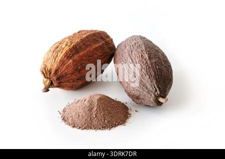 Cocoa pods Stock Photo