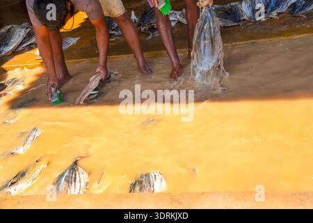 Workers at a small fish factory Stock Photo