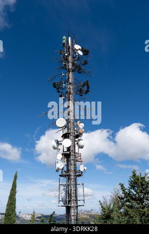 Telecommunications mast designed to resemble a tree, fitted with antenna dishes and equipment against a deep blue sky in Andalusia, Spain. Stock Photo