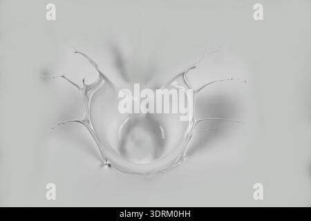Collection of various milk splashes on white background Stock Photo