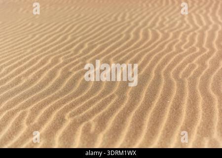 Wave patterns in the sand on the beach Stock Photo