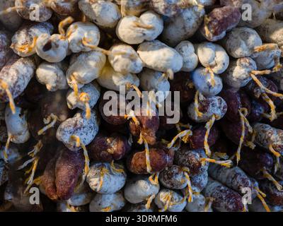 Fuet Salami sticks Traditional Spanish sausage. Stock Photo