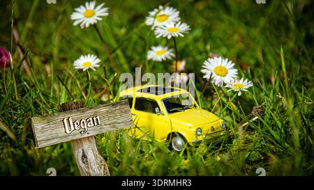 Signposts the direct way to Vegan Food Stock Photo