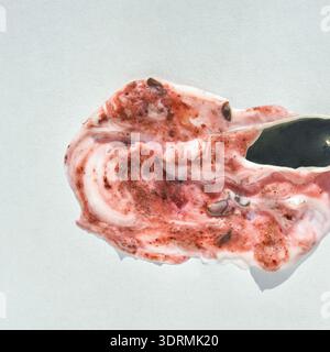 Spoonful of berry yogurt with mixed fruit on white background Stock Photo