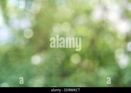 Abstract nature green bokeh background with soft light and circular shapes Stock Photo