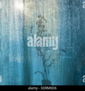 Shadow of a potted plant on a blue textured surface with subtle lighting Stock Photo
