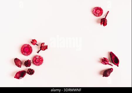 Flowers composition made of red dry flowers on pink background flat lay top view copy space Stock Photo