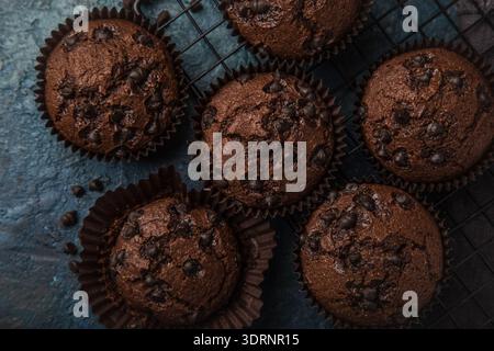 Chocolate muffins on  dark blue background Stock Photo