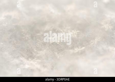 Detailed macro shot of real white snowflakes on a winter snow surface, horizontal orientation Stock Photo