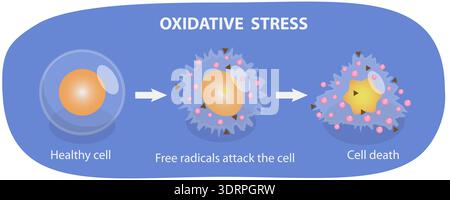 3D Isometric Flat Vector Illustration of Oxidative Stress Stock Photo
