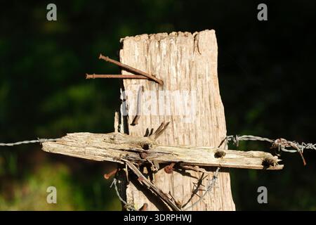 Fence post with rusty barbed wire Stock Photo