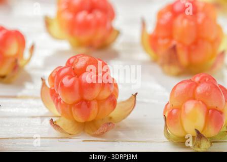 Fresh organic Berry cloudberries on light wooden background. Selective focus Stock Photo