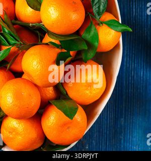 Fresh organic citrus mandarin oranges fruit (tangerines, clementines) with leaves in a light dish on a blue background close-up. Stock Photo