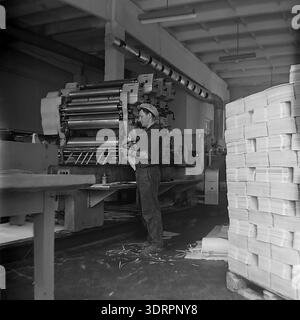 Historical 1960s black and white photograph showing a male worker operating a large offset printing press inside the Slavyansk Oil and Fat Plant in the Ukrainian SSR. The focused printer is inspecting a sheet of paper next to massive stacks of blank materials and a complex industrial machine. This authentic archival image illustrates the self-sufficient packaging production and scale of Soviet food industry manufacturing during the era of active economic development in the Donetsk region. A striking workshop view. Stock Photo