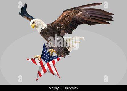 BALDEAGLE  HOLDING STAR WITH US FLAG VECTOR DRAWING Stock Vector